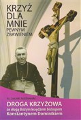 Książka : Krzyż dla ... - Leszek Jażdżewski