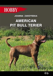 Bild von American pit bull terier