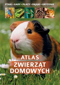 Obrazek Atlas zwierząt domowych / SBM