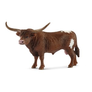 Obrazek Teksański byk długorogi