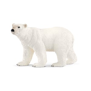 Obrazek Niedźwiedź polarny