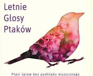 Bild von Letnie głosy ptaków CD