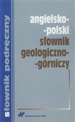 Polnische buch : Angielsko-... - Monika Barańska, Ewa Romkowska