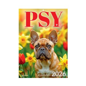 Bild von Kalendarz 2026 ścienny A4 Psy