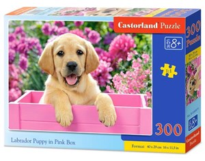Bild von Puzzle Labrador Puppy in Pink Box 300