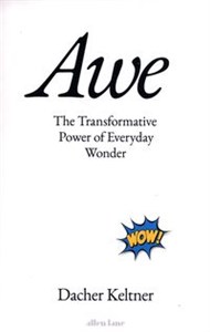 Bild von Awe The Transformative Power of Everyday Wonder
