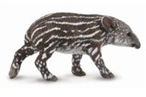 Obrazek Tapir cielę bairda