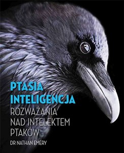 Bild von Ptasia inteligencja Rozważania nad intelektem ptaków