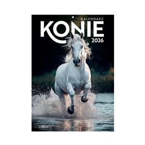 Bild von Kalendarz 2026 ścienny A4 Konie