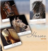 Polnische buch : Brulion A5...