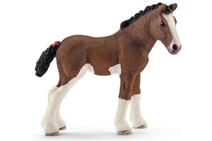 Bild von Źrebię rasy Clydesdale SLH13810
