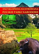 Encykloped... - Opracowanie Zbiorowe - buch auf polnisch 