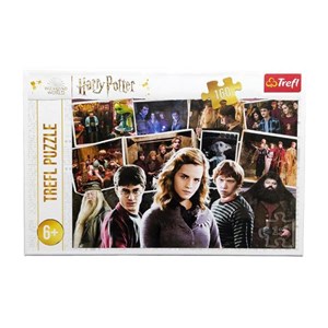 Obrazek Puzzle 160 Harry Potter i przyjaciele 15418