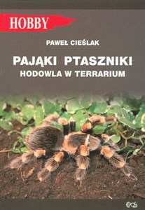 Bild von Pająki ptaszniki hodowla w terrarium