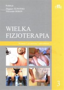 Obrazek Wielka fizjoterapia. Tom 3