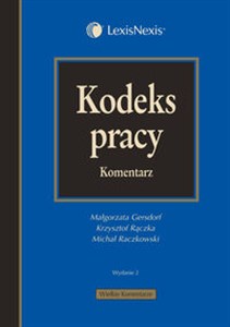 Obrazek Kodeks pracy Komentarz