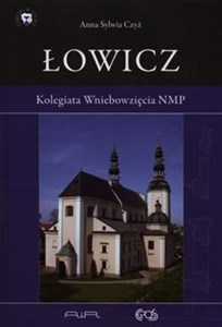 Obrazek Łowicz Kolegiata Wniebowzięcia NMP