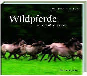 LAMM, B: W... - buch auf polnisch 