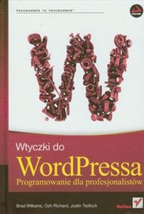 Bild von Wtyczki do WordPressa Programowanie dla profesjonalistów