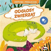 Dotknij i ... - Elżbieta Korolkiewicz - buch auf polnisch 