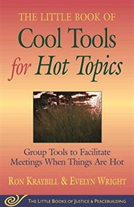 Obrazek Little Book of Cool Tools for Hot Topics