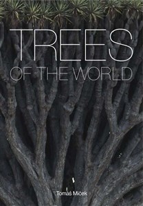 Bild von Trees of the World