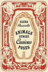 Obrazek PASSARELLO, E: ANIMALS STRIKE CURIOUS POSES