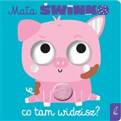 Polnische buch : Mała śwink... - Opracowanie Zbiorowe