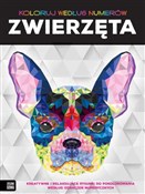 Polska książka : Koloruj we... - Opracowanie Zbiorowe