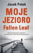Polska książka : Moje Jezio... - Jacek Potok