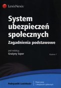 System ube... - Zofia Kluszczyńska, Katarzyna Roszewska, Grażyna Szpor -  polnische Bücher