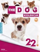 Dog Kolekc... -  polnische Bücher