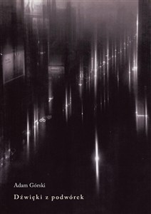 Obrazek Dźwięki z podwórek