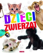 Polnische buch : Dzieci zwi... - Opracowanie Zbiorowe