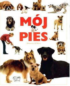 Bild von Mój pies