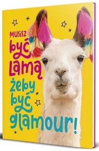 Obrazek Brulion A4/96K kratka AleJakTo-04