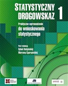 Książka : Statystycz... - Sylwia Bedyńska