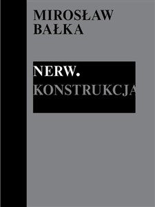 Obrazek Mirosław Bałka: Nerw. Konstrukcja