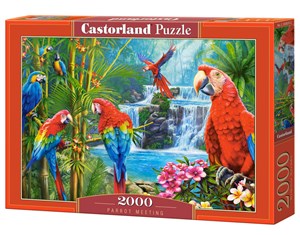 Bild von Puzzle 2000 Parrot Meeting