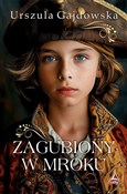 Zagubiony ... - Urszula Gajdowska - buch auf polnisch 