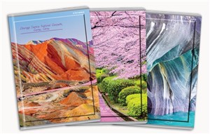 Bild von Zeszyt A4/80K kratka Globe (5szt)