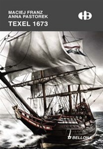 Bild von Texel 1673