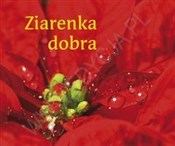 Polska książka : Perełka 17... - Opracowanie Zbiorowe