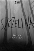 Polska książka : Szczelina - Józef Karika
