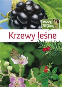 Bild von Krzewy leśne