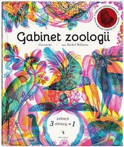 Bild von Gabinet zoologii