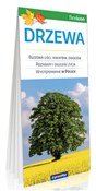 Polska książka : Drzewa