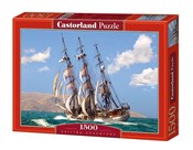 Książka : 1500x PUZZ...