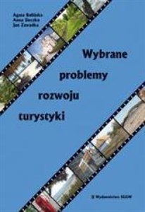 Obrazek Wybrane problemy rozwoju turystyki