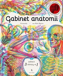 Bild von Gabinet anatomii